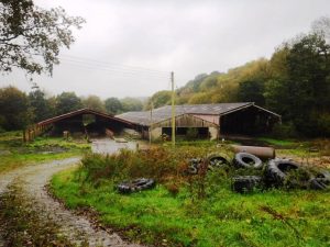 Asbestos Surveys in Huddersfield